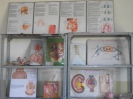 school of nursing_5